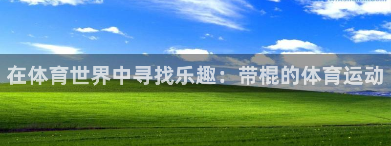 必一运动体育官网：在体育世界中寻找乐趣：带棍的体育运动