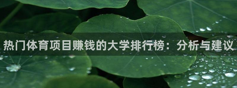 必一运动bsport体育：热门体育项目赚钱的大学排行榜：分析与建议